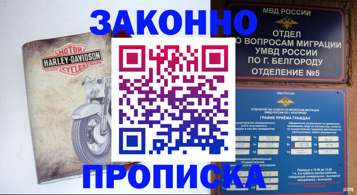 прописка для школы в Дедовске